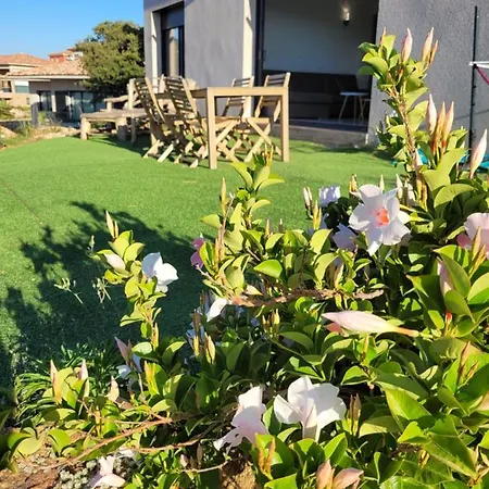 Appartement Neuf 3 Vue Propriano *